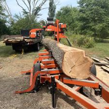 Tree-Removal-and-Sawmill-Services-project-in-Sudlersville-MD 15